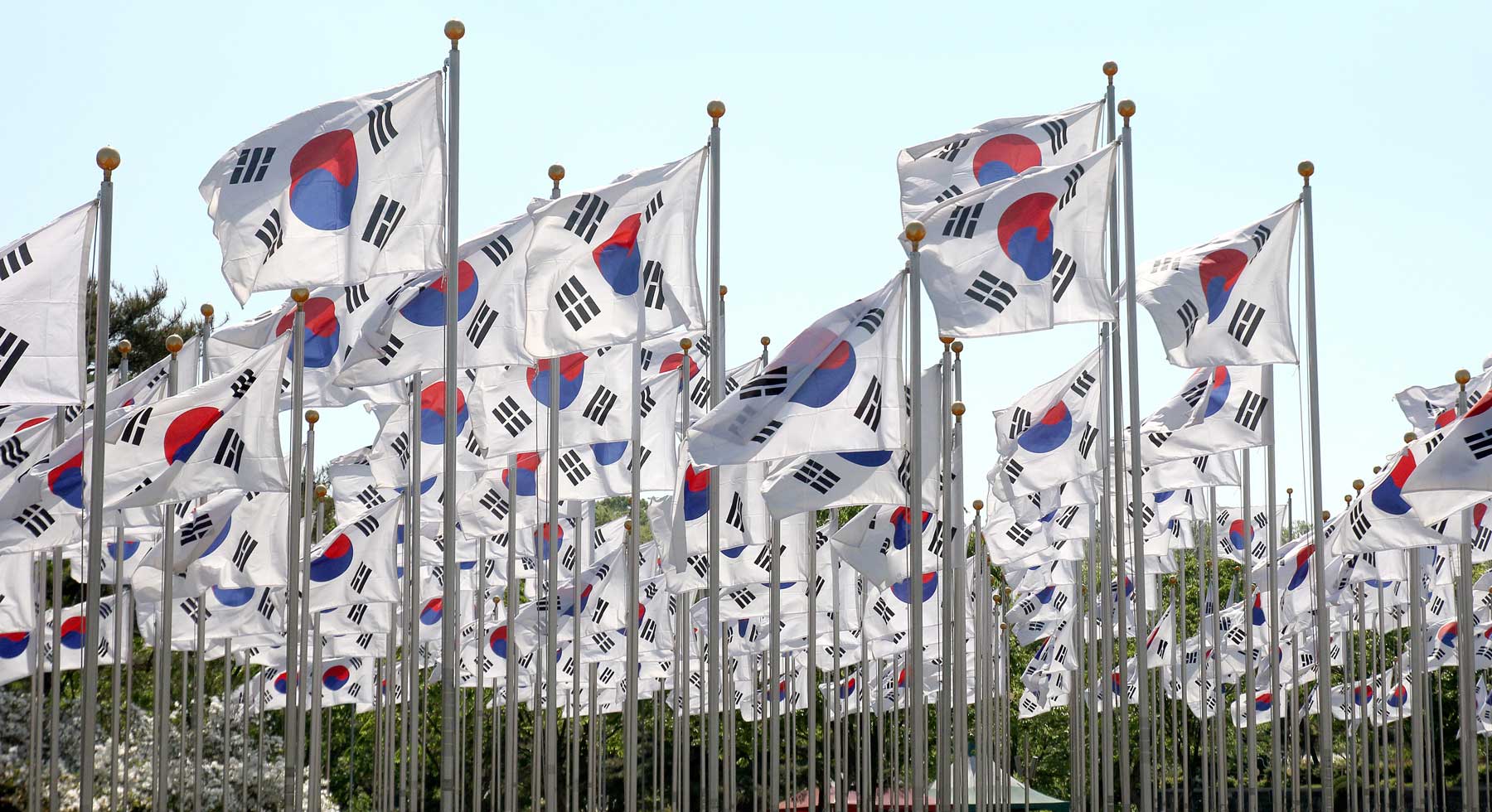 Korean Flag in Korean 태극기